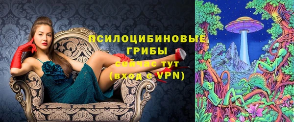 a pvp Вяземский