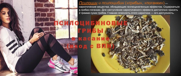 гидра Вязники