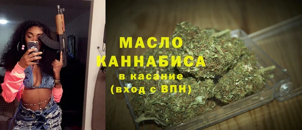 гидра Вязники