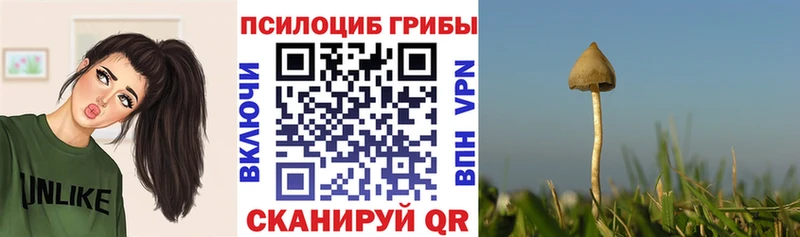 Галлюциногенные грибы прущие грибы  MEGA ссылки  Черноголовка 