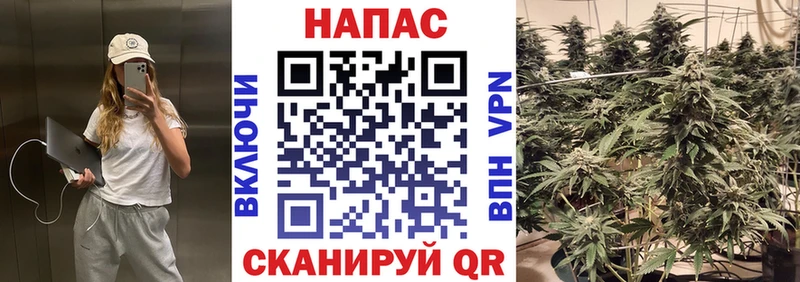 Бошки марихуана Amnesia  Черноголовка 